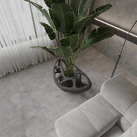 Araxys Saksı